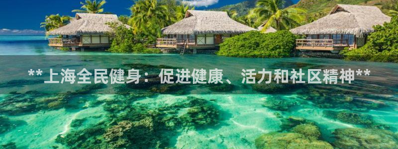 凯时登录：**上海全民健身：促进健康、活力和社区精神**